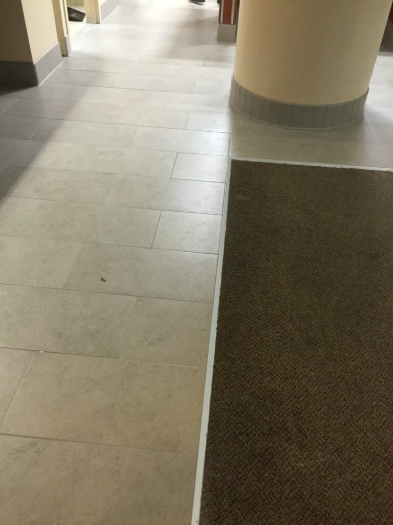 A newly installed brown commercial carpet next to light tile flooring by New England Flooring INC. in Millis, MA.