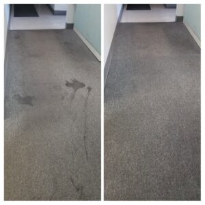 Before and after view of commercial carpet cleaning service by Drew's Cleaning and Restoration in Jamestown, NC.