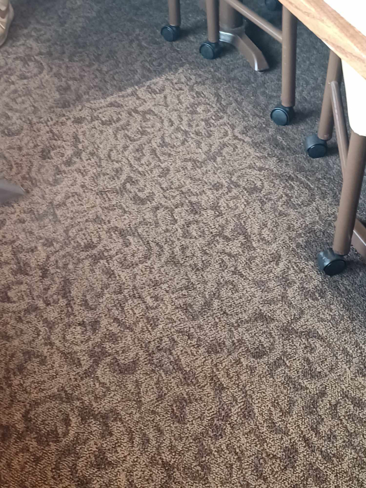 Commercial carpet cleaning showing a clear before and after difference on a patterned carpet by Hopman Rug Cleaners in Hammond, IN.