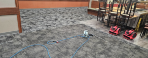Commercial carpet cleaning equipment on a freshly cleaned carpet at American Carpet Care, Inc. in Watertown, SD.