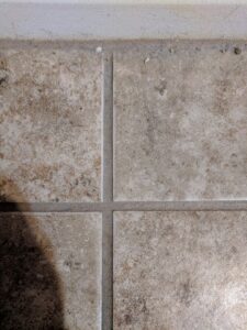 A technician from Raysco, Inc. performing commercial carpet cleaning in a hallway in Las Vegas, NV.