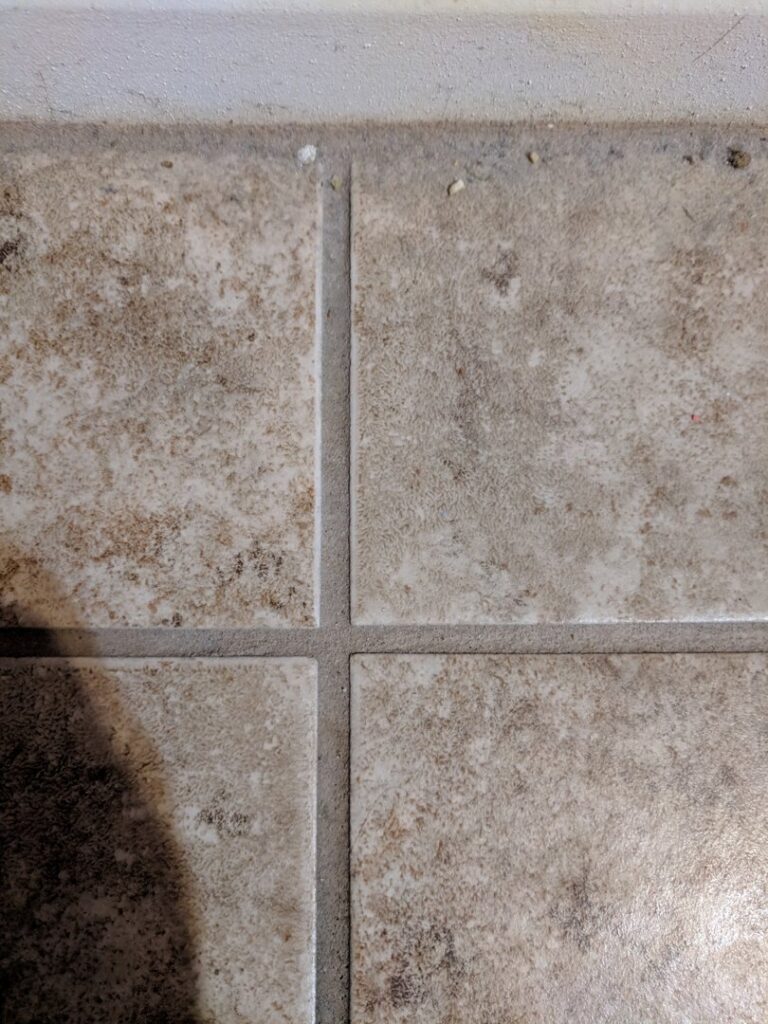 A technician from Raysco, Inc. performing commercial carpet cleaning in a hallway in Las Vegas, NV.