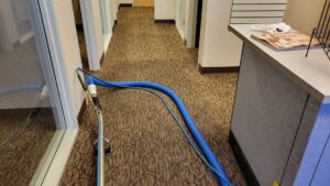 A blue carpet cleaning hose laid across a patterned commercial carpet by Ardent Carpet Restore in Sacramento, CA.