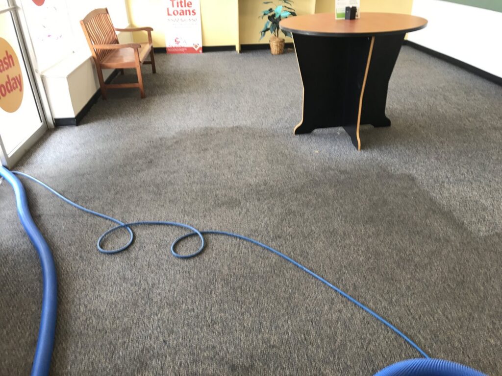 Commercial carpet being cleaned with hoses by Jones Carpet Care LLC in Huntsville, AL.