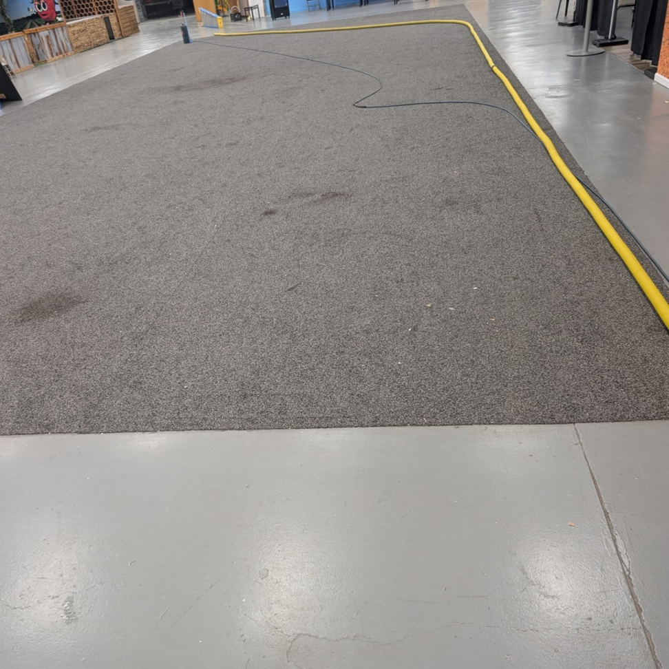 A large grey commercial carpet with cleaning hoses, indicating a job in progress by Tampa Steam Team in Plant City, FL.