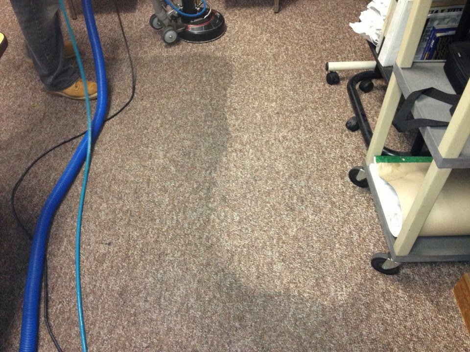 A commercial carpet being cleaned, showing a distinct clean strip next to a dirty area by Bee Clean Carpet Steam Cleaning in Dover, DE.