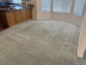 Commercial carpet cleaning in progress, showing a clean line on the carpet by B's Carpet Cleaning in Saint George, UT.