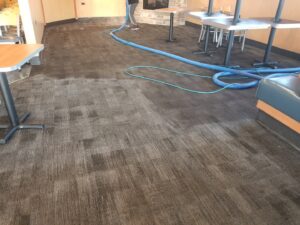 A professional cleaning a patterned commercial carpet in a restaurant by New Dawn's Carpet Cleaning in Cicero, IL.