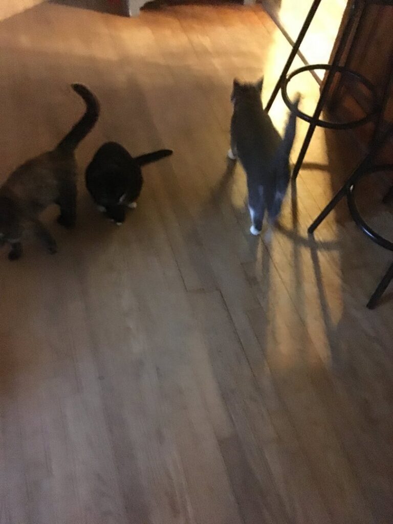 A large commercial space with new wall-to-wall carpet installed by On Point Flooring in Concord, NC