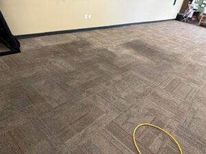A commercial carpet with visible stains and a cleaning hose, indicating a job by Great Day Carpet & Tile Cleaning LLC Desoto in Olive Branch, MS.