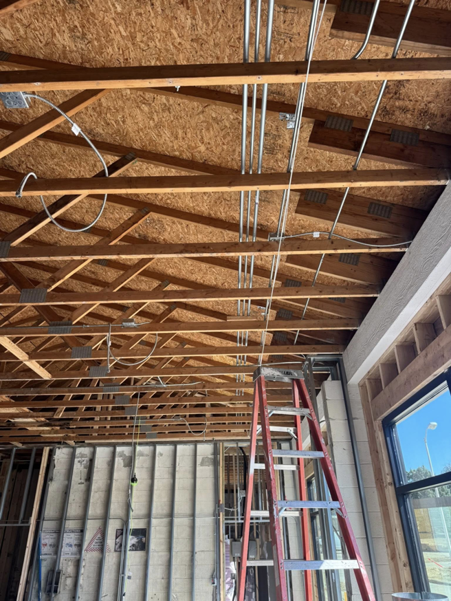 Extensive commercial electrical conduit installation on an exposed ceiling by TF Electrical Solutions in Omaha, NE.