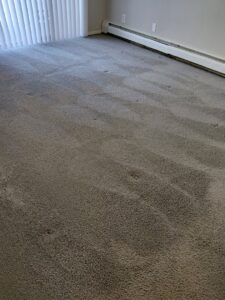 Commercial grey carpet cleaning with distinct lines by Marty B's General Klean in Cincinnati, OH.
