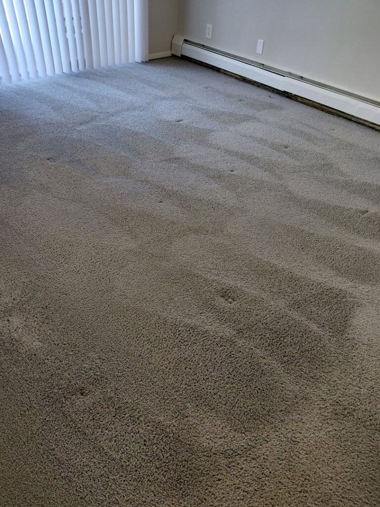 Commercial grey carpet cleaning with distinct lines by Marty B's General Klean in Cincinnati, OH.