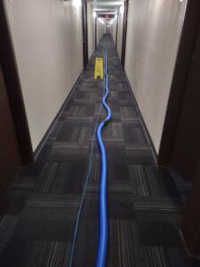 A long commercial hallway carpet being cleaned with equipment hoses by Customer First Carpet Cleaning in Appleton, WI