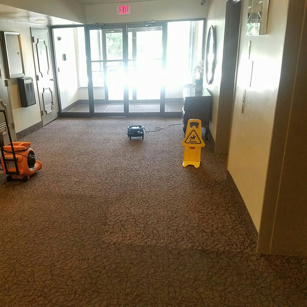 Commercial hallway carpet drying with a fan and wet floor sign after cleaning by Select Carpet Clean LLC in Scranton, PA.