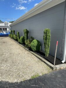 Commercial landscaping with neatly trimmed shrubs and fresh mulch beds by Chaves Lawn Care in New Bedford, MA