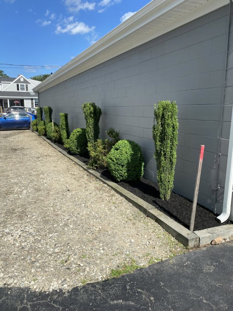 Commercial landscaping with neatly trimmed shrubs and fresh mulch beds by Chaves Lawn Care in New Bedford, MA