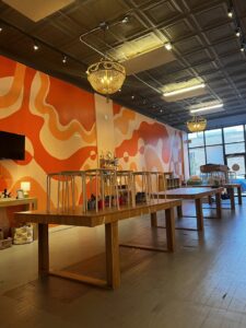 Modern commercial lighting installed in a retail space by Flavin Electric, LLC in Chicago, IL