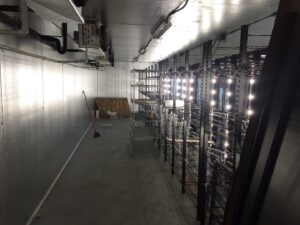 Extensive commercial lighting installed in a large storage or cooler space, showcasing electrical expertise from GOBE LLC in Columbia, MO.