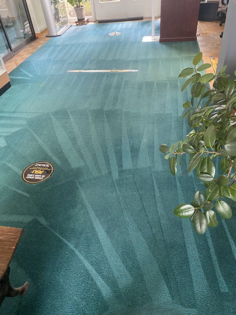 Cleaned blue-green carpet in a commercial lobby by M3 Cleaning Solutions, LLC in Montgomery, AL.