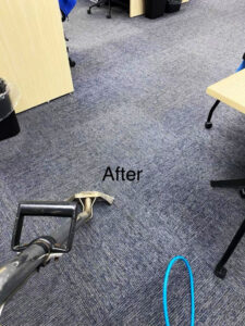 A clean commercial office carpet after professional cleaning by On The Spot Carpet Cleaning in Erie, PA.