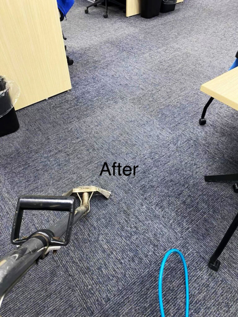 A clean commercial office carpet after professional cleaning by On The Spot Carpet Cleaning in Erie, PA.