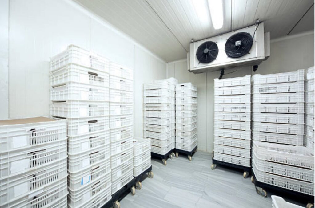 Interior view of a commercial walk-in cooler with ceiling fans and stacked crates, installed by DND Mechanical in Columbus, OH.