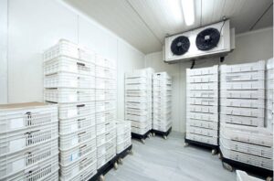 Interior view of a commercial walk-in cooler with ceiling fans and stacked crates, installed by DND Mechanical in Columbus, OH.