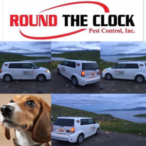A collage showing a branded company vehicle and a bed bug detection dog from Round The Clock Pest Control San Francisco in Canyon Country, CA.