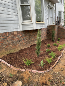 A completed landscaping bed with fresh mulch and plants along a house by D&L lawn care service in Hoover, AL