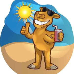 Cool Camel HVAC