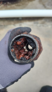 A gloved hand holding a heavily corroded water pipe section, showing internal buildup, inspected by CMC Mechanical in Goose Creek, SC.