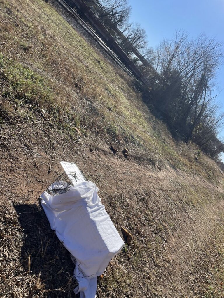 A covered humane wildlife trap set on a grassy slope, part of wildlife control services by Bug Busters LLC in Norman, OK.