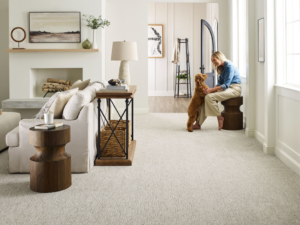 A cozy living room featuring a fresh carpet installation by The Carpet Store Tampa, FL