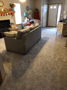 A cozy living room featuring a new grey carpet installation by Carpet One Topeka in Topeka, KS