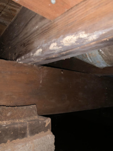 Close-up of wooden beams and a brick pier in a dark crawl space, showing cobwebs and possible mold during an inspection by Buzz Pest Control in Springfield, MO.