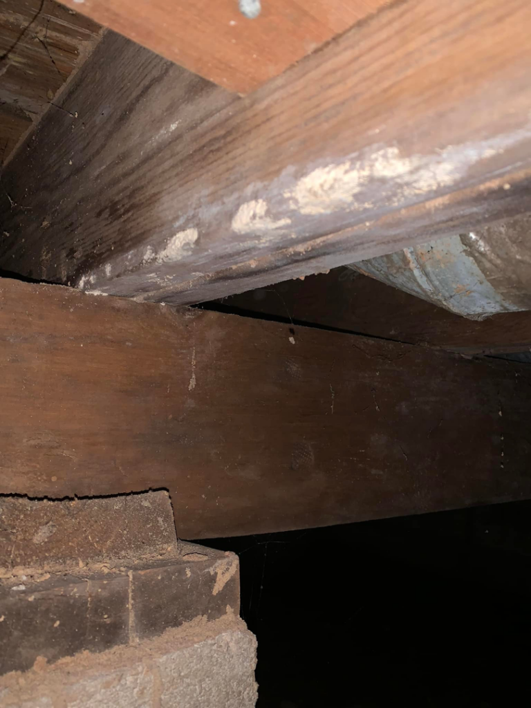 Close-up of wooden beams and a brick pier in a dark crawl space, showing cobwebs and possible mold during an inspection by Buzz Pest Control in Springfield, MO.