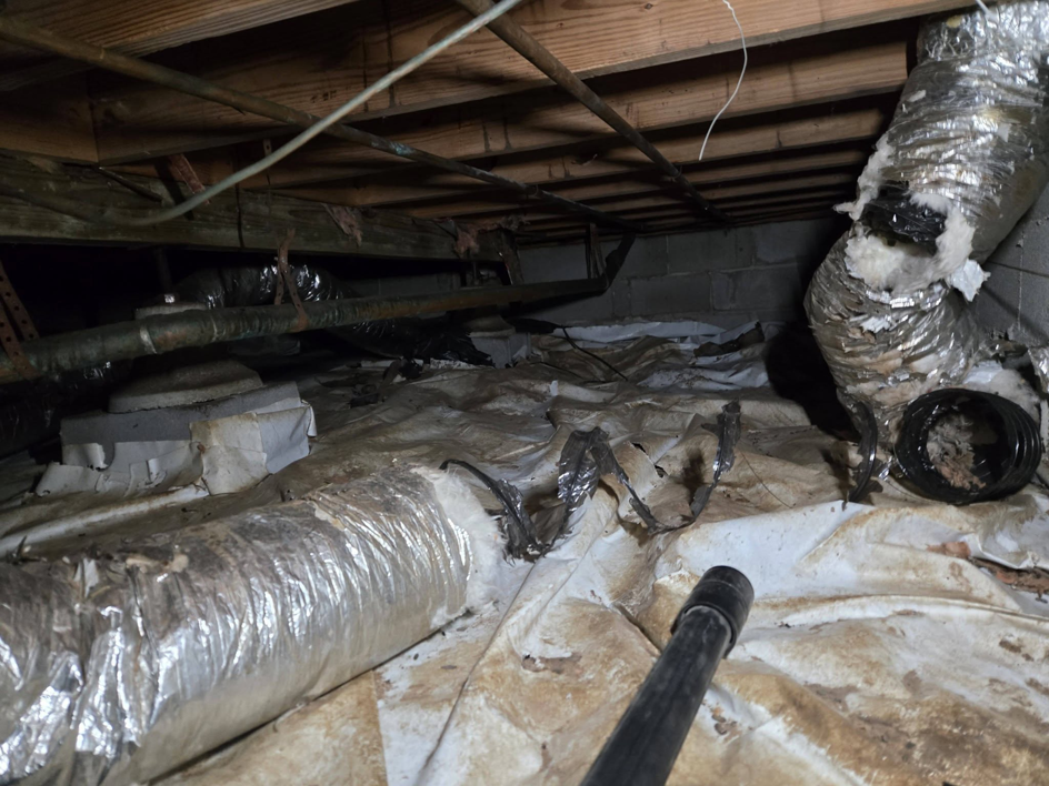 A professional conducting a thorough crawl space inspection for pests and wildlife for Bug Blasterz LLC in Huntsville, AL.