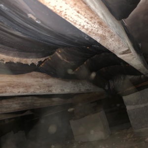 Crawl space showing moisture and mold on wooden beams, inspected by Brandon Mcgowan in Little Rock, AR.