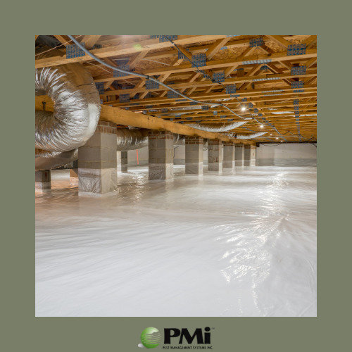 A clean crawl space with a new vapor barrier installed by Pest Management Systems, Inc. for moisture control in Greensboro, NC