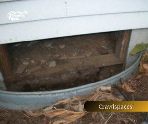A crawlspace under a house, a common area for wildlife and pest activity, serviced by Critter Control of Charleston, SC.