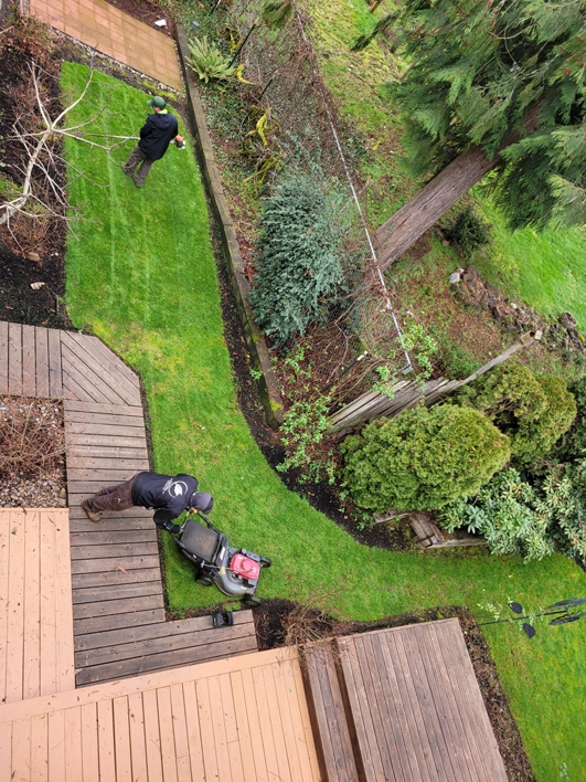 An OregonScapes crew member professionally mowing a residential lawn in Eugene, OR, creating clean stripes.