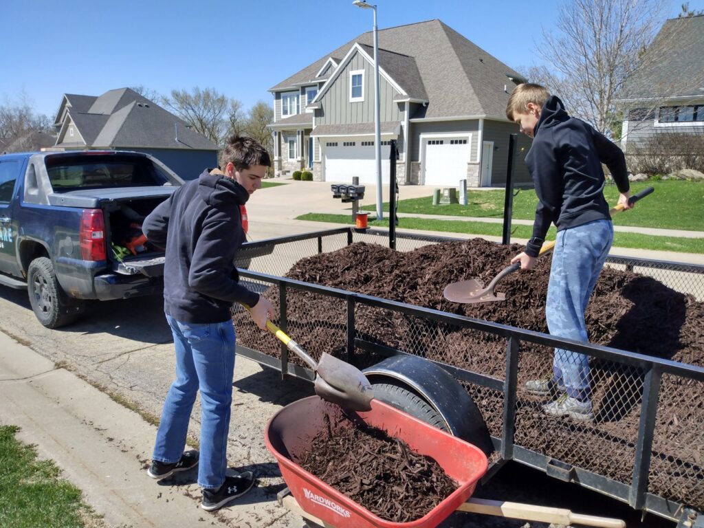 Three Boys Lawncare crew members shoveling fresh mulch from a trailer for a landscaping project in Rochester, MN.
