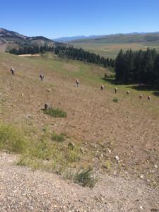 A crew working on a hillside, performing vegetation management services for A2Z Vegetation and Pest Management in Pocatello, ID