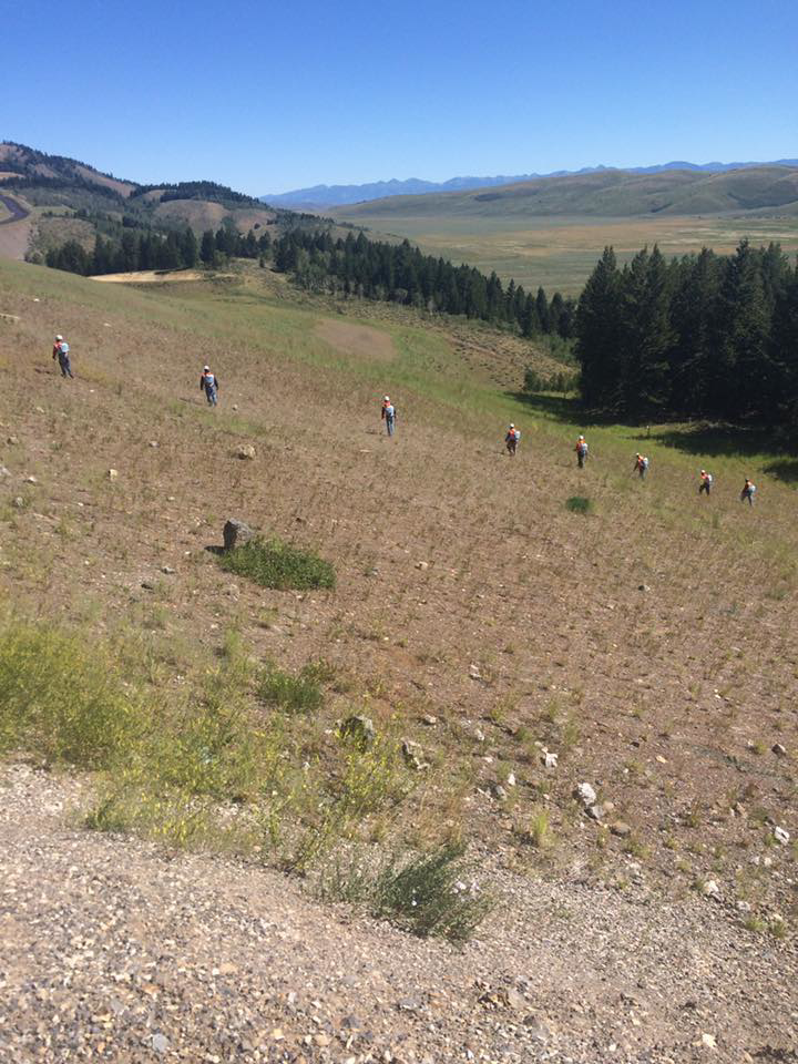 A crew working on a hillside, performing vegetation management services for A2Z Vegetation and Pest Management in Pocatello, ID