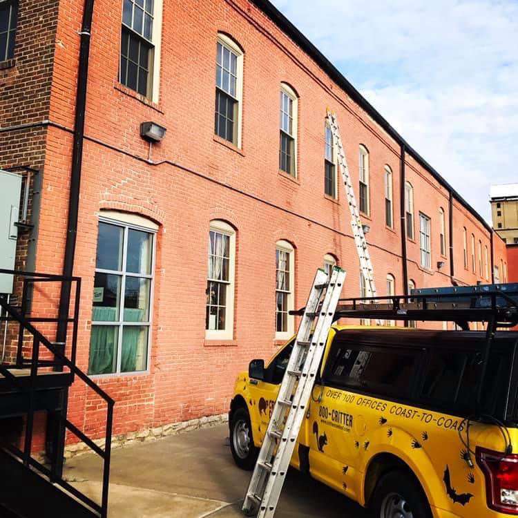 Critter Control truck with ladders ready for commercial building inspection in Springfield, MO