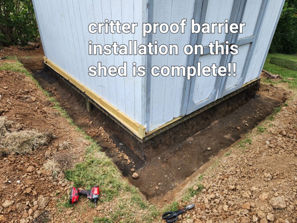 A completed critter-proof barrier installation with wire mesh around a shed by S-Tier Wildlife Control LLC in Lexington, KY.