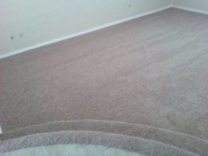 Close-up of a curved carpeted step in a room, installed by Magick Flooring Installs in Phoenix, AZ