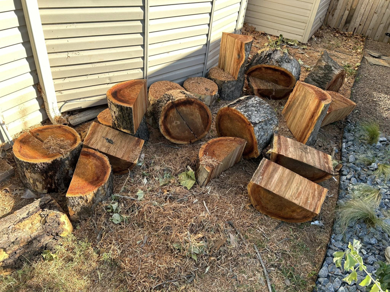 Piles of cut wood logs and debris ready for removal by Lawns Plus More LLC in Edmond, OK.