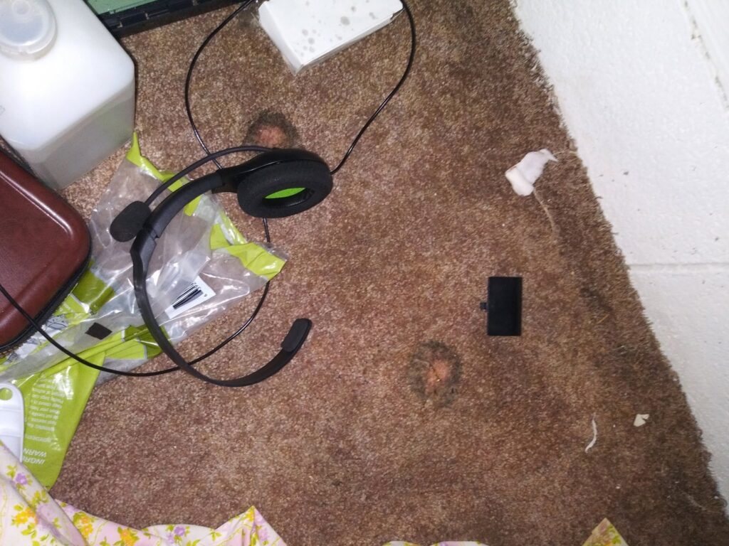 Close-up of damaged carpet, showing evidence of pest activity or damage, addressed by Otho's Pest Management in Randleman, NC